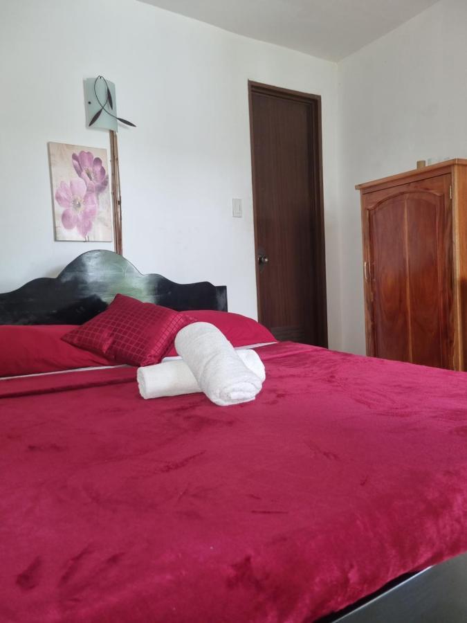 Southpoint Hostel 몰볼 외부 사진