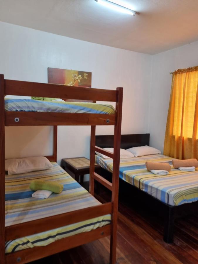 Southpoint Hostel 몰볼 객실 사진
